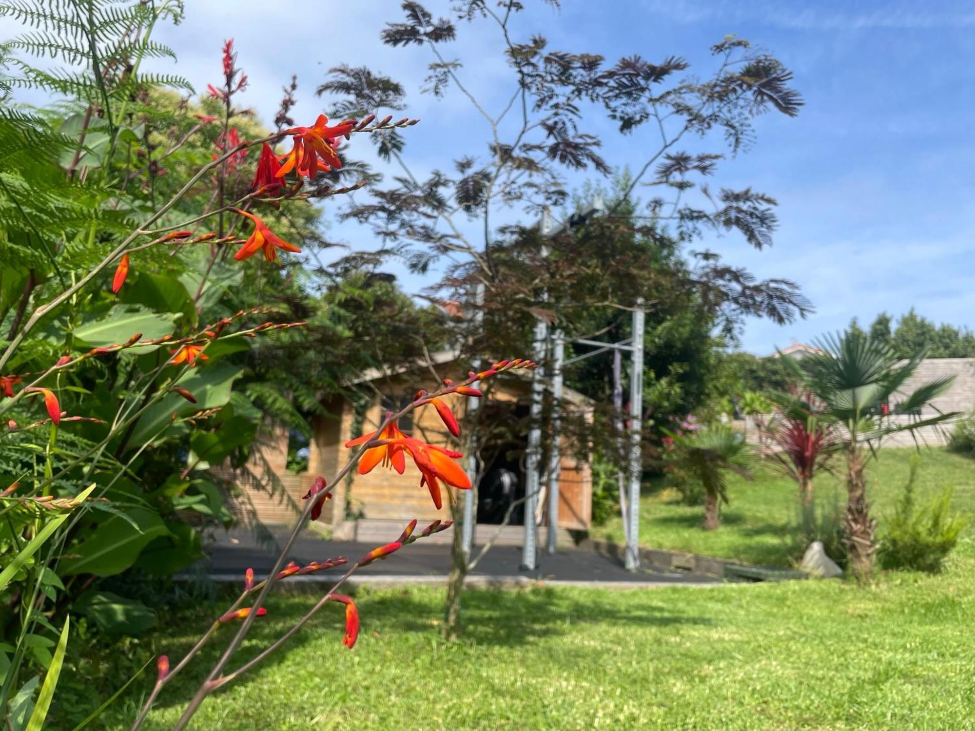 La Wodapalousa, Surf & Crossfit Guesthouse, 800M From Beach Bidart Exterior foto